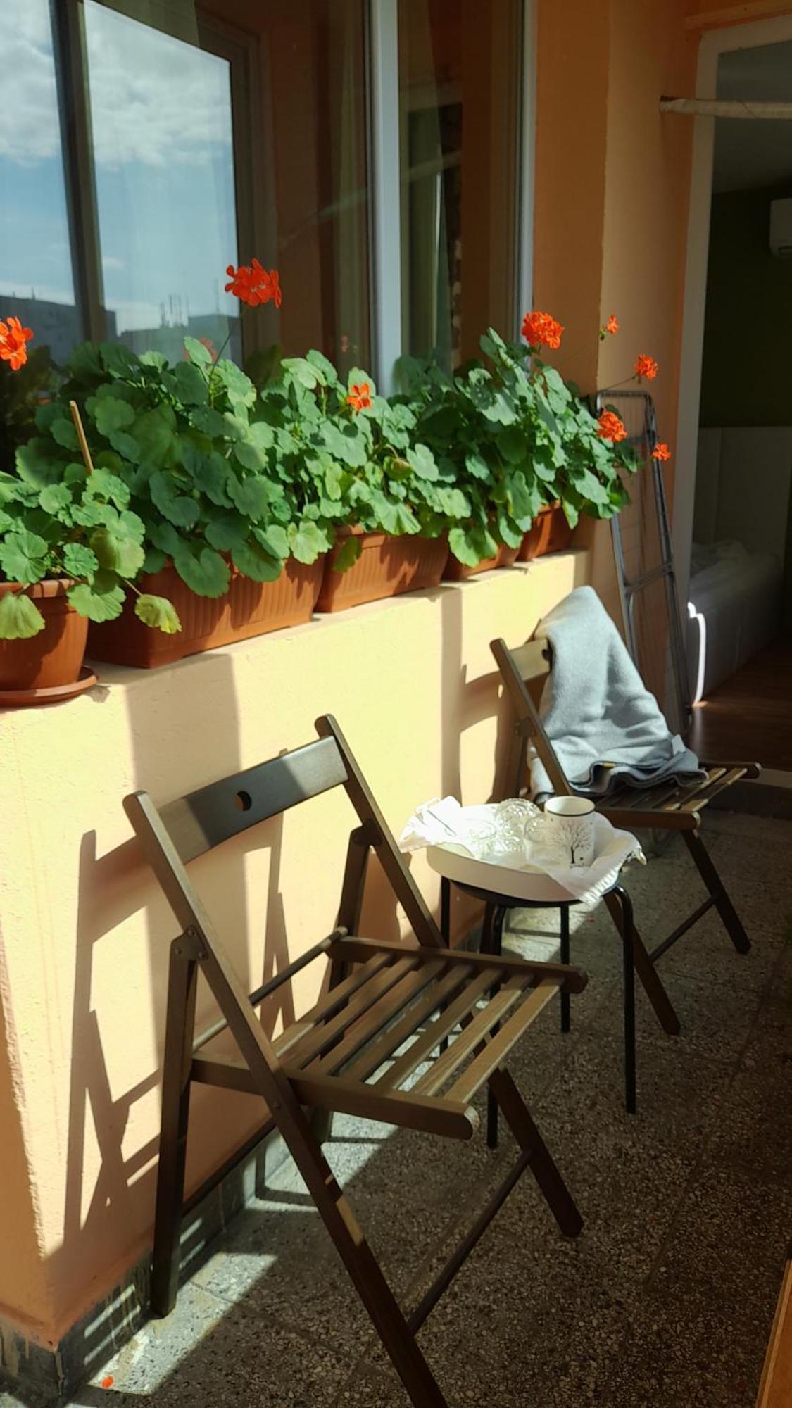 Slivnitsa 105 Apartment Варна Екстериор снимка